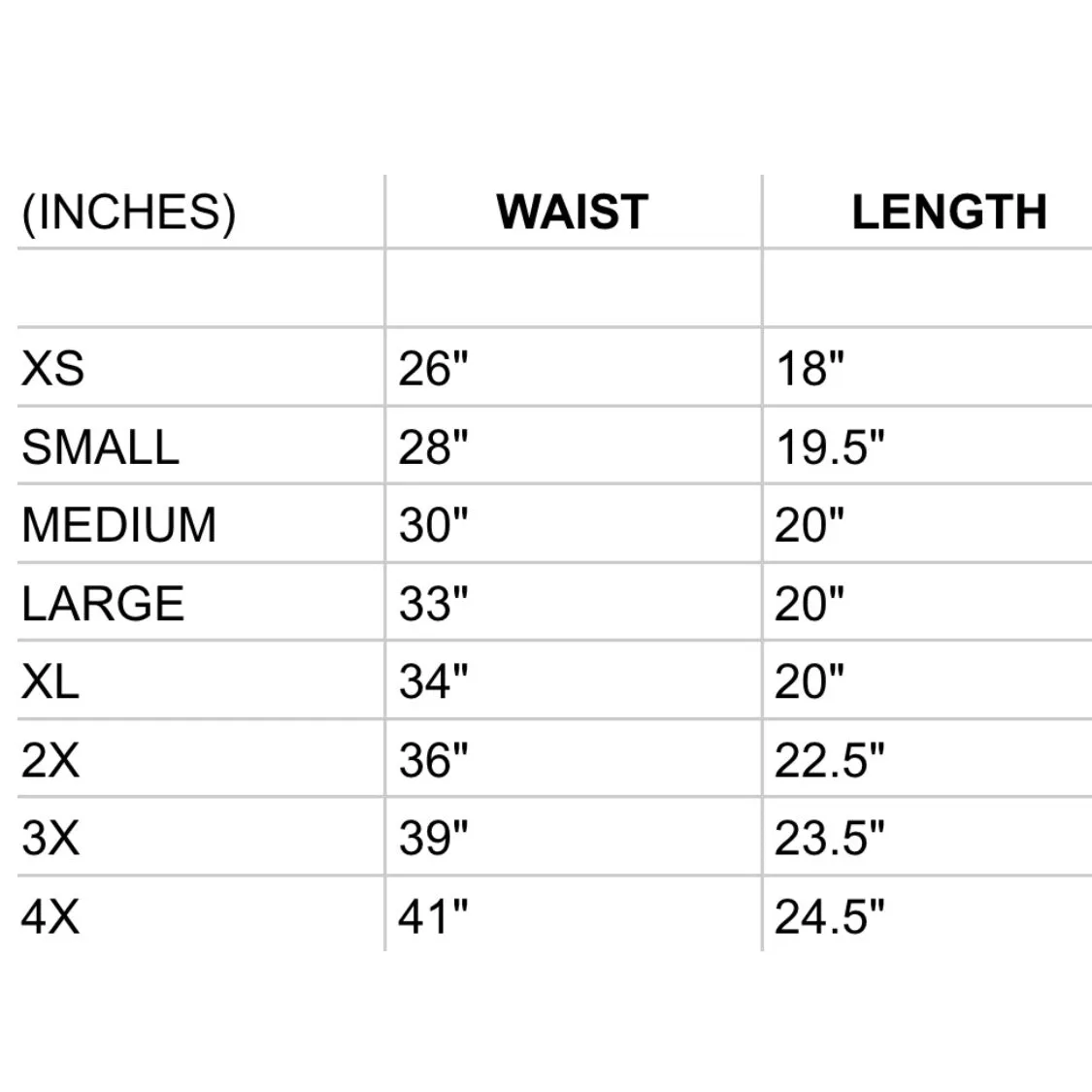 Carousel Ponies Skater Skirt